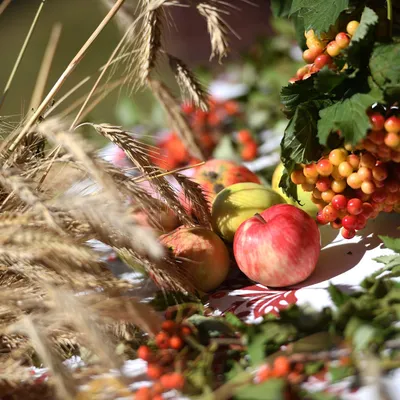 🍃 🌻 🌿🍎🍏🥀 🌻 🍃 19 августа яблочный спас! | Открытки, Праздник,  Праздничные открытки