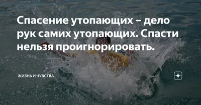 Спасение утопающих – дело рук самих утопающих. Спасти нельзя  проигнорировать. | Жизнь и Чувства | Дзен