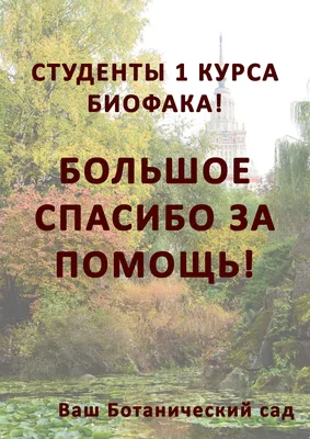 АНАТОЛИЙ Н. НАЙДЕН! ЖИВ! Спасибо большое всем за помощь в поисках.  #завершённые_поиски | Instagram