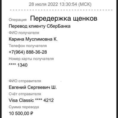 Центр Открытого Образования Хочу Учиться - Здравствуйте. Спасибо Вам большое  за помощь в получении образования. В обычной школе мой ребенок вряд ли  закончил и получил аттестат. Еще раз спасибо, процветания вашей компании