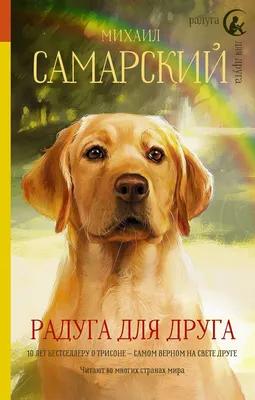 Спасибо, друг! Обзор литературы о собаках-героях | Центральная городская  библиотека | Дзен