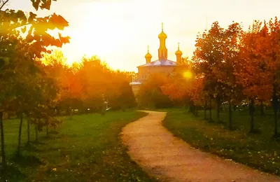 Картинки слава богу за все с цветами (67 фото) » Картинки и статусы про  окружающий мир вокруг