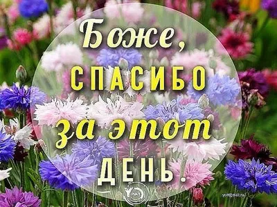 Аминь#господи#спасибо# | TikTok