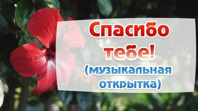 Спасибо! Благодарю тебя! Самые красивые пожелания. Музыкальная открытка. -  YouTube