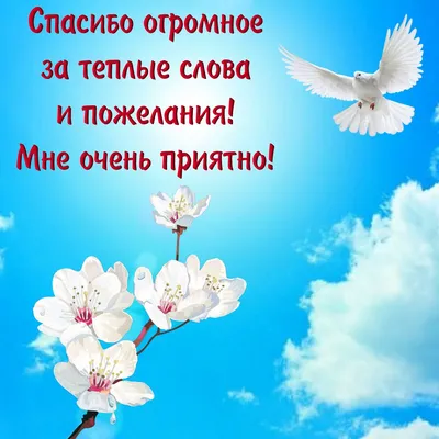 Как сказать на Русский? "Спасибо большое очень приятно " | HiNative