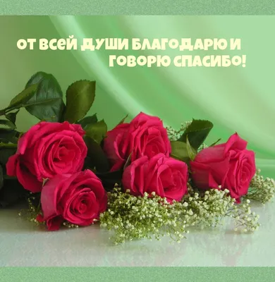 Купить Мини-открытка Спасибо от души (птичка светлая) для праздника в  Москве. Цена 55 ₽ | GlorDecor✓