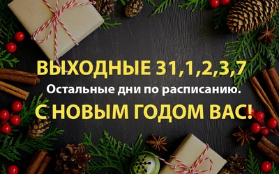 С Наступающим Новым Годом! График работы 2023!