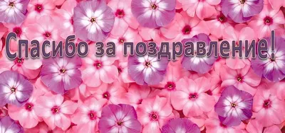 Набор карточек "Спасибо за заказ"/Распечатать карточки Спасибо/Мини  открытки Спасибо/Благодарю - Светлана Зиновьева - скачать на Wildberries  Цифровой | 176309