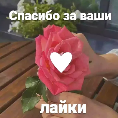 СПАСИБО ЗА ВАШИ ЛАЙКИ 🥰 — Анна Соболева на 