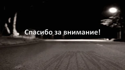 Алёна, это было незабываемо. Спасибо за ночь. | Кот, плывущий по реке | Дзен