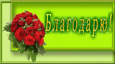 Уделите своему здоровью 2 минуты. Этот тест позволит оценить состояние  иммунитета. | Хомо Сапиенс | Дзен