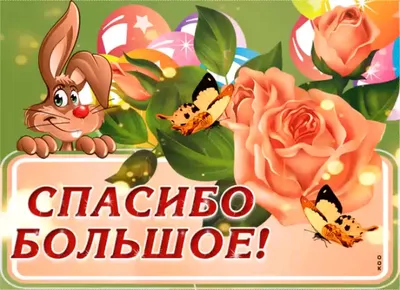 Чудеса случаются! Эксмо 9582805 купить в интернет-магазине Wildberries