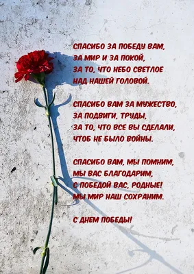 В Коми стартовал конкурс творческих работ "Спасибо деду за Победу" |  Комиинформ