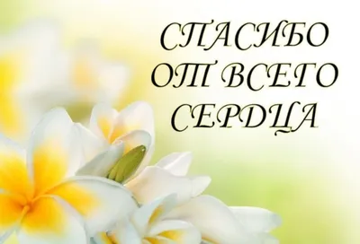 Купить 50/500 шт. черные наклейки «спасибо» для делового декора, спасибо за  поддержку моей маленькой визитной карточки, упаковочная печать, этикетка |  Joom