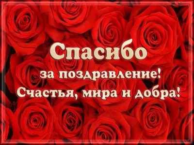 Благодарность за поздравления — открытки и картинки на вайбер, пожелания  мирного неба - Телеграф