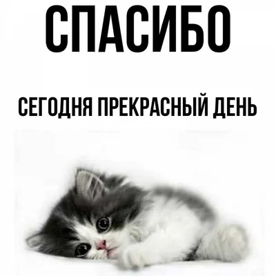 Открытка с именем Сегодня прекрасный день Спасибо С розами. Открытки на  каждый день с именами и пожеланиями.