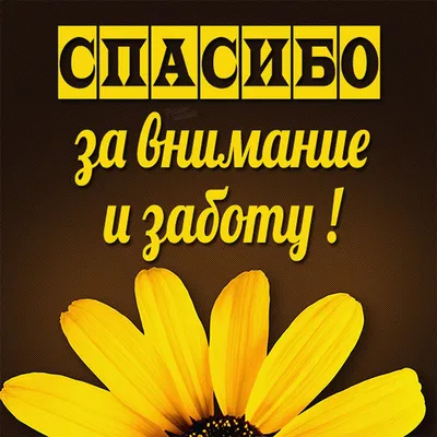 Добрый вечер, дорогие друзья, хочу сказать огромное спасибо Татьяне и  Руслане | rusuna-kavai | Дзен