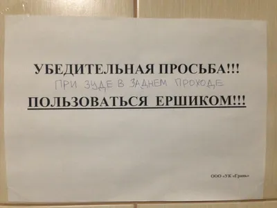 Картинки спасибо за совет прикольные с надписями (33 фото) » Красивые  картинки, поздравления и пожелания - 