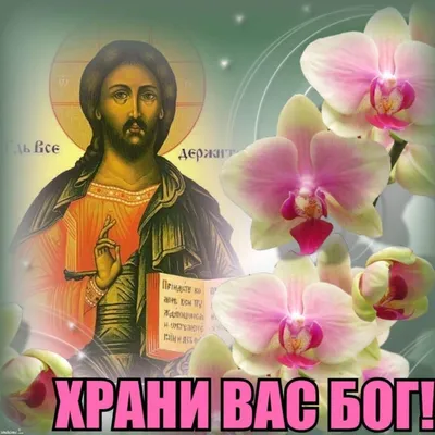 Спаси Бог" Когда нельзя говорить "спасибо" | Где народ, там и правда | Дзен