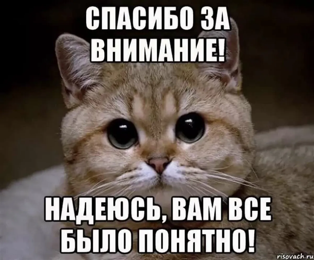 Что вам не нравится в этом. Спасибо за внимание. Картинка спасибо за внимание. Спасибо за внимание смешные. Презентация закончена спасибо за внимание.