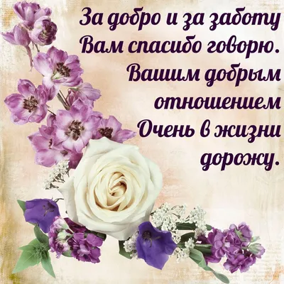 Кружка с сублимацией Simaland "Мама спасибо тебе за все" цветы 320 мл в  Москве – купить по низкой цене в интернет-магазине Леруа Мерлен