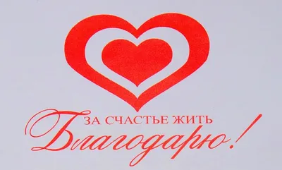 Грамота в подарок 1 сентября, Выпускной, Мир поздравлений - купить по  выгодной цене в интернет-магазине OZON (941428688)