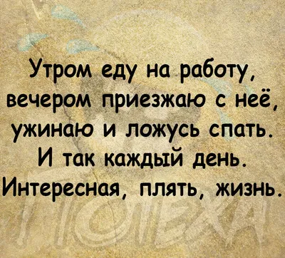 Завтра в школу - Спать пора, завтра в школу | Смешные открытки, Ночь,  Спокойной ночи