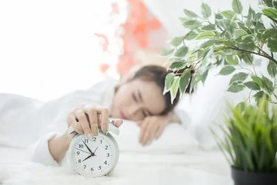 Во сколько нужно ложиться спать, чтобы высыпаться и быть здоровым | TV  Губерния | Дзен