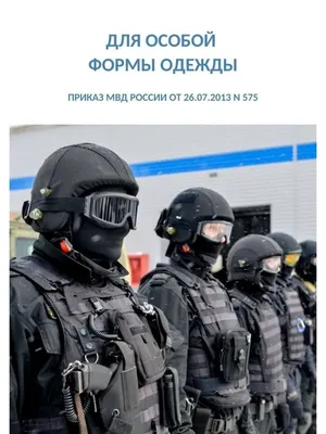Единственный отряд спецназа МВД обеспечивает работу оперативников -  Российская газета
