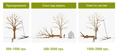 Удаление, спил деревьев в Егорьевске в городе и на дачном участке.