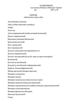 Как правильно выбрать породу собаки?