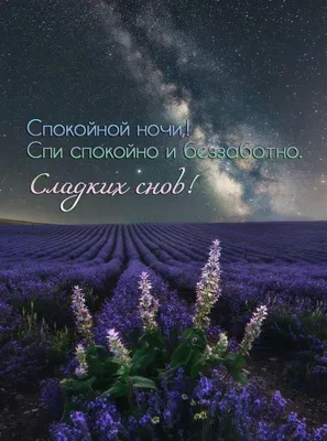 Летние открытки "Спокойной ночи!" (262 шт.)