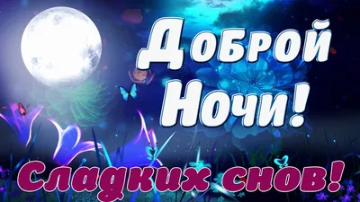 ДОБРОЙ НОЧИ!⭐ 🌙 Красивое пожелание Спокойной Ночи! Сладких Снов! Тебе от  меня! | Ночь, Спокойной ночи, Веселые шутки