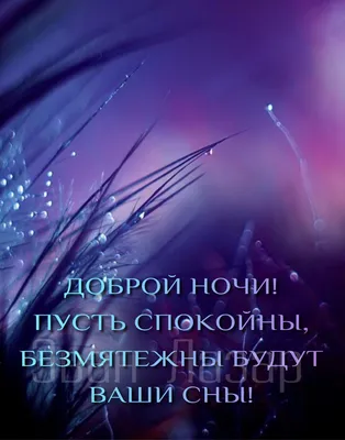 Открытка с именем Дима Спокойной ночи. Открытки на каждый день с именами и  пожеланиями.