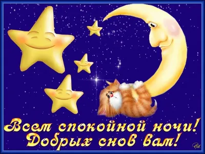 Доброй ночи! 🌟🌛🌟Сказочных снов! 😴😴😴❤❤❤#добройночи #спокойнойночи... |  TikTok