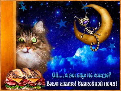 Всем спокойной ночи и хороших добрых снов!