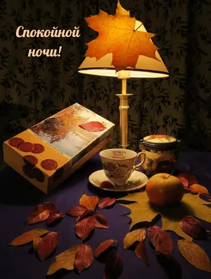 Осенние открытки "Спокойной ночи!" (253 шт.)