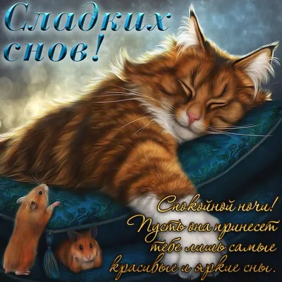 Спокойной ночи и чудесных снов… | Good night gif, Good night, Night gif