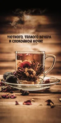 юмор#смешное#длянастроения##добрыйвечер#спокойнойночи#доброеутро#умныеслова#шутки#смешныевидео#мотивация#фото#деньрождения#поздравления  | Instagram