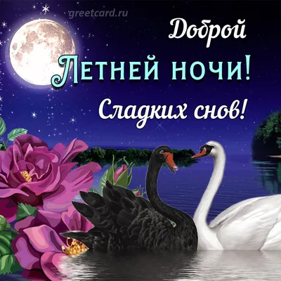 СПОКОЙНОЙ НОЧИ! 🌛🏙🌟 СЛАДКИХ СНОВ! | Ночь, Открытки, Плюшевые медведи