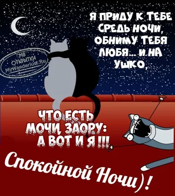 Спокойной ночи 😴🌙 | Спокойной ночи, Ночь, Юмор про сон