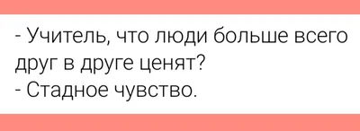 Спокойной ночи | Пикабу