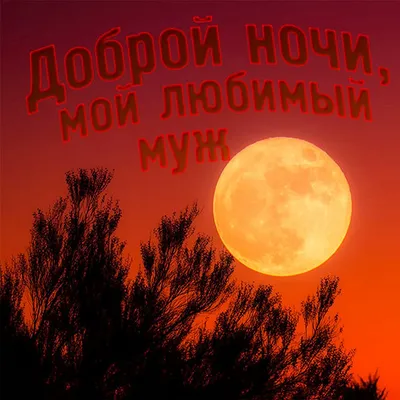 Открытки на ночь мужу и любимому супругу