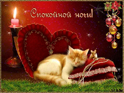 Самое Красивое Пожелание Спокойной Ночи, Сладких Снов! Музыкальная видео  открытка Доброй Ночи! - YouTube | Animals, Mammals, Cats