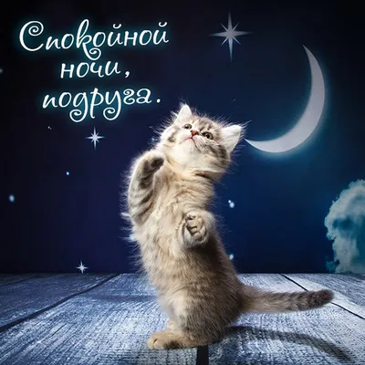 Спокойной ночи, милая  подружка!⭐🌙💌💎💎💎💎💎💎💎💎💎💎💎💎💎💎💎💎💎💎💎💎💎💎💎💎💎💎💎💎💎Красивое  пожелание спокойной ночи! - YouTube