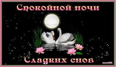 Миша спокойной ночи и сладких снов картинки (45 фото) » Красивые картинки,  поздравления и пожелания - 