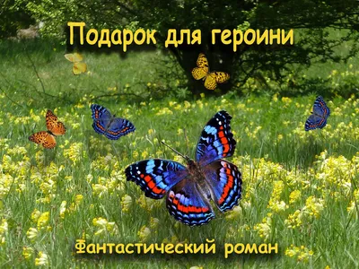 Глава 224. "Спокойной ночи!" | Рассвет над городом | Дзен