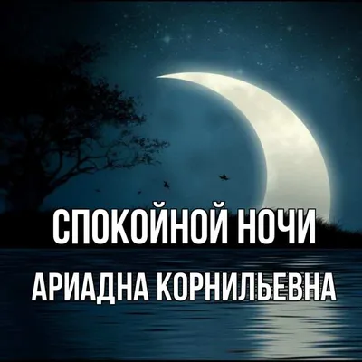 в арабском языке не говорят «спокойной ночи», у них принято желать تصبح على  خير (тусбихун аля хайр), что переводится как «пусть хорошие… | Instagram