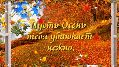 Доброй осенней ночи! Пусть Осень тебя убаюкает нежно! 🍂⭐ 🌙 - YouTube