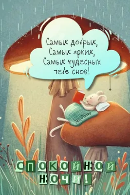 Идеи на тему «Спокойной ночи» (190) | спокойной ночи, ночь, цитаты про ночь